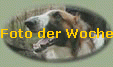 Foto der Woche