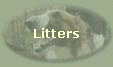 Litters