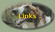 Links