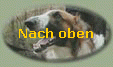 Nach oben
