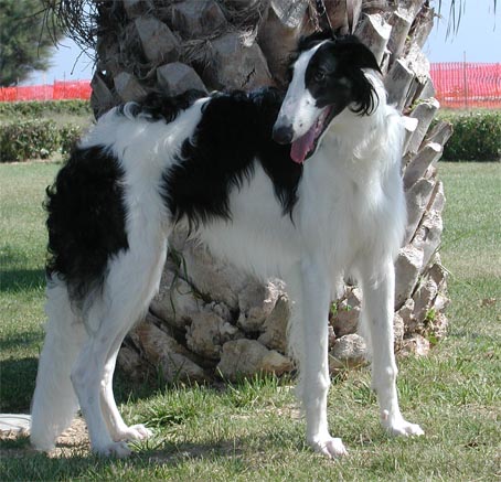 please click here for more information