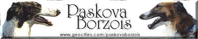 Paskova Borzois banner