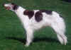 brolins_kysyl_shavon.jpg (42205 Byte)