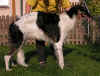 ischyma_elan_11mo1.jpg (78743 Byte)