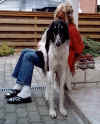 ischyma_elan_2j10.jpg (63859 Byte)