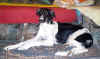 ischyma_elan_5mo5.jpg (52676 Byte)