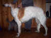 ischyma_esprit_7mo5.jpg (60133 Byte)