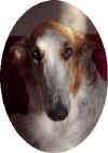 ischyma_esprit_head14mo1.jpg (36833 Byte)