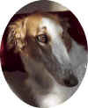 ischyma_esprit_head14mo.jpg (41114 Byte)
