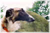 ischyma_evalotte_11mo.jpg (61543 Byte)