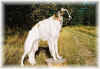 ischyma_evalotte_26mo2.jpg (81939 Byte)