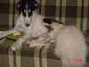 harmony_new_home2.jpg (67899 Byte)