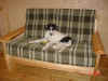 harmony_new_home3.jpg (72008 Byte)