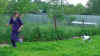 ischyma_harmony_12w8.jpg (40992 Byte)