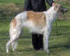 ischyma_heiduck_1j1.jpg (60136 Byte)
