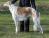 ischyma_heiduck_1j2.jpg (62680 Byte)