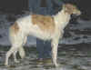 ischyma_heiduck_9_5mth1.jpg (51785 Byte)