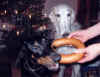 ischyma_herzog_9mo3.jpg (52192 Byte)