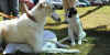 ischyma_irtysch_10wo2.jpg (58994 Byte)