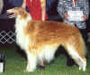 jay_jp_raijin_at_meyta.jpg (79744 Byte)