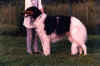 mariinski_grozan.jpg (53588 Byte)