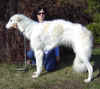 tanecnice_nijinski.jpg (100407 Byte)