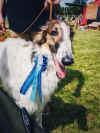 240706_nonchalance_cac_hoisdorf_cac.jpg (133018 Byte)