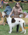 5j_estet_classic_freska.jpg (200022 Byte)