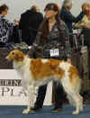 ischyma_olympia_18mo_v1cac_v2.jpg (201490 Byte)