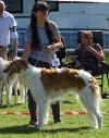 250628_hoisdorf_ischyma_olympia_rcac.jpg (227821 Byte)