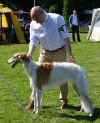 250628_hoisdorf_ischyma_qurage_jbob.jpg (257430 Byte)