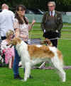 250920_olympia_cac_ls_koeln.jpg (155620 Byte)