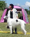 153_ischyma_moritz.jpg (128912 Byte)